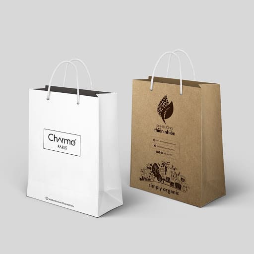 mẫu túi giấy sản phẩm dinh dưỡng