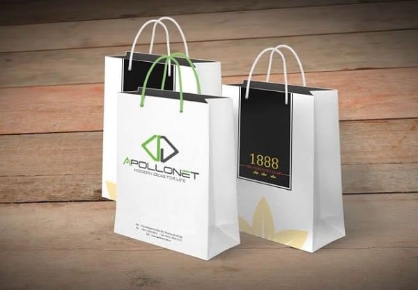 túi giấy duplex thời trang