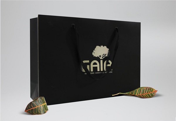 mẫu túi giấy cỡ trung