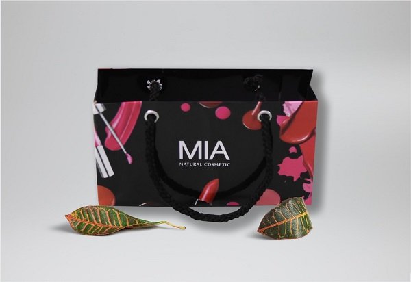 mục đích sử dụng túi giấy