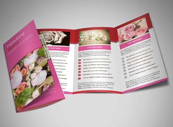 các kích thước catalogue