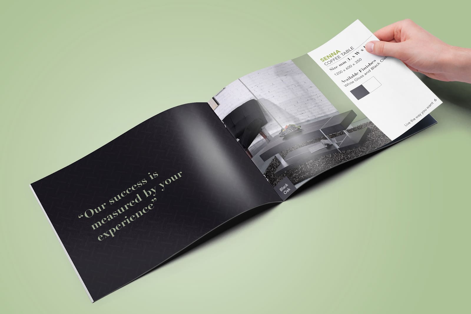 mẫu thiết kế catalogue đẹp