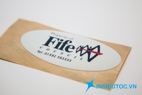 các loại nhãn đẹp - In Siêu Tốc