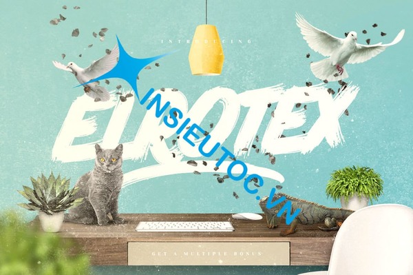 font chữ thiết kế quảng cáo - In Siêu Tốc