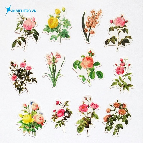 mẫu sticker hoa lá đẹp - In Siêu Tốc