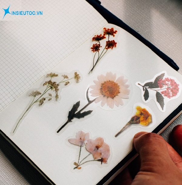 những mẫu sticker đẹp - In Siêu Tốc