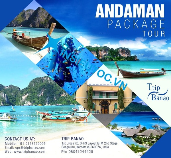 Tờ rơi tour du lịch