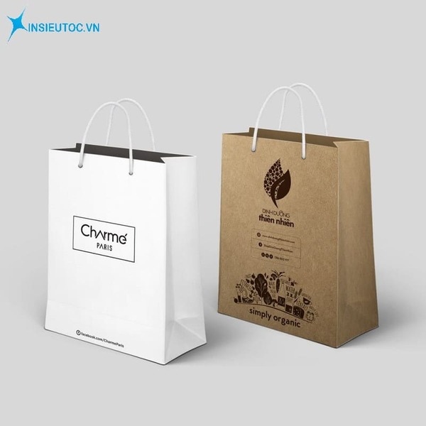 các mẫu túi xách giấy - In Siêu Tốc