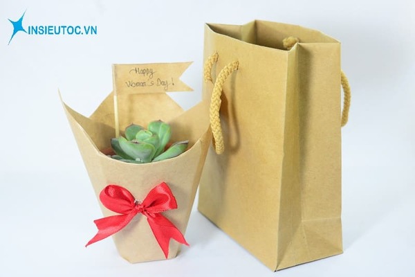 Túi giấy thân thiện môi trường - In Siêu Tốc