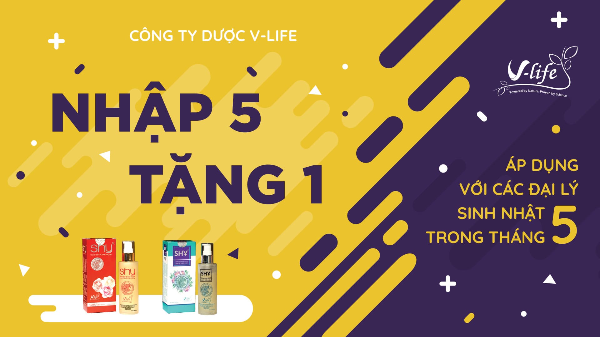 mẫu thiết kế banner đẹp