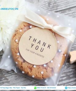 in decal kraft dán túi