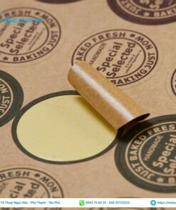 cấu tạo của decal kraft