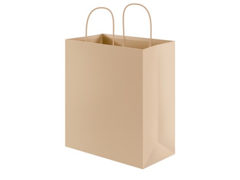 hình túi giấy kraft có quai