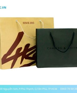 in túi giấy số lượng ít nhanh tphcm