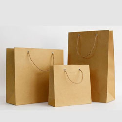 Mẫu túi giấy kraft có quai cầm