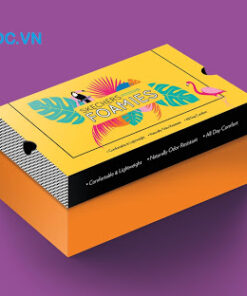 in hộp carton đựng giày