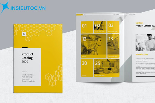 Phối màu trong catalogue