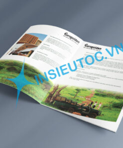 In catalogue giới thiệu doanh nghiệp