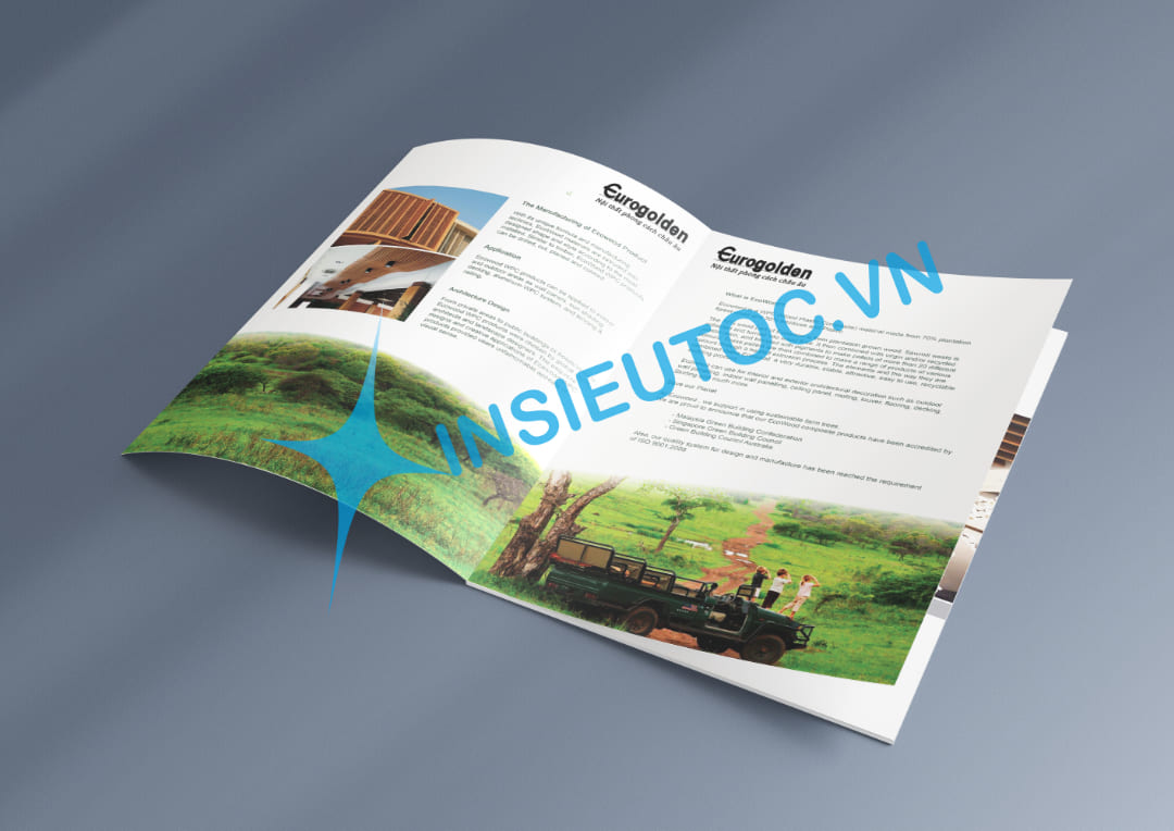 In catalogue giới thiệu doanh nghiệp