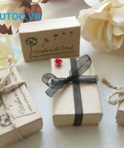 hộp giấy kraft giá rẻ