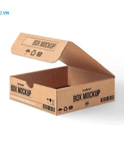 Mẫu hộp giấy carton cỡ nhỏ dạng gấp