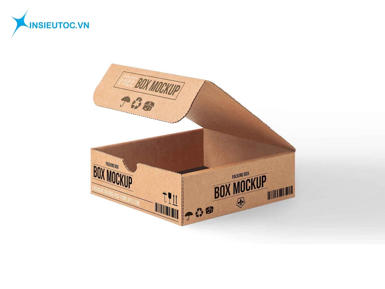 Mẫu hộp giấy carton cỡ nhỏ dạng gấp