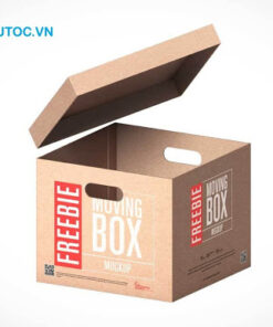 Thùng carton nắm rời