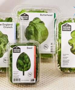 những mẫu nhãn mác thực phẩm