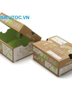 hộp giày thiết kế cá tính