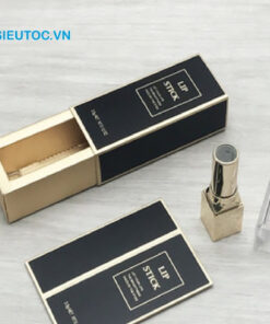 Vỏ hộp đựng son