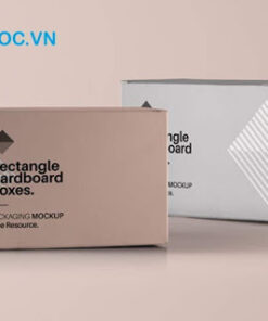 Hộp giấy carton in màu ấn tượng