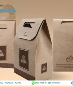 Thiết kễ mẫu túi kraft nắp đậy
