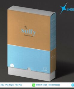 Mẫu hộp giấy cao cấp dạng kéo in màu