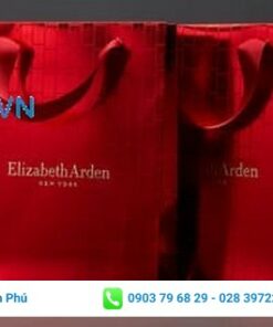 Túi giấy cao cấp sang trọng