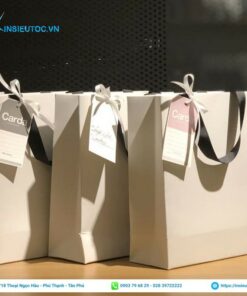 Mẫu túi giấy đơn giản