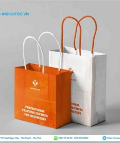 Mẫu túi giấy đơn giản