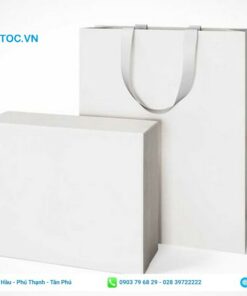 Mẫu túi giấy ngang và dọc