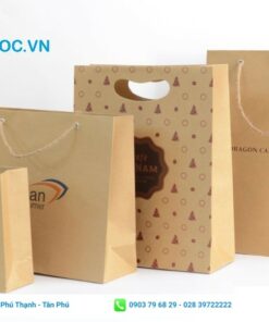 Túi kraft giấy in họa tiết