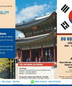 mẫu thiết kế tờ rơi du học hàn quốc
