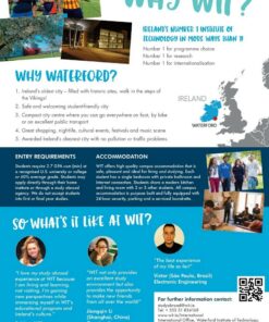 mẫu tờ rơi du học ireland