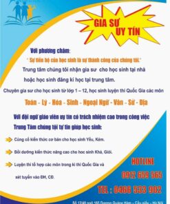 Mẫu tờ rơi gia sư phối màu đơn giản