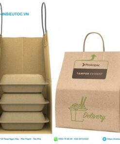 mẫu In túi Kraft