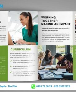 tờ rơi quảng cáo du học chuyên nghiệp