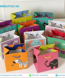 Túi giấy cỡ nhỏ đựng quà nhỏ xinh