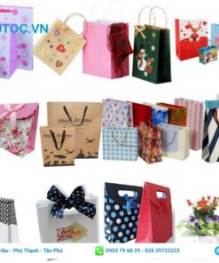 Một số kiểu túi đựng quà