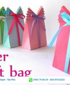 Túi giấy đứng đựng quà
