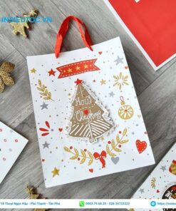 Túi giấy đựng quà cỡ trung