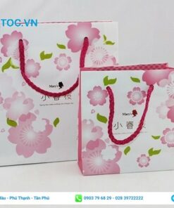 túi đựng quà in họa tiết