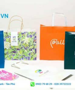 Mẫu túi kraft giấy phổ biến hiện nay