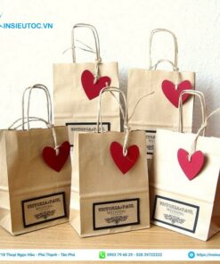 Túi giấy kraft dạng đứng đơn giản